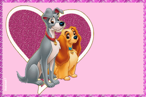 Image du Blog gipsye.centerblog.net