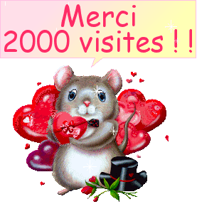 2000 visites